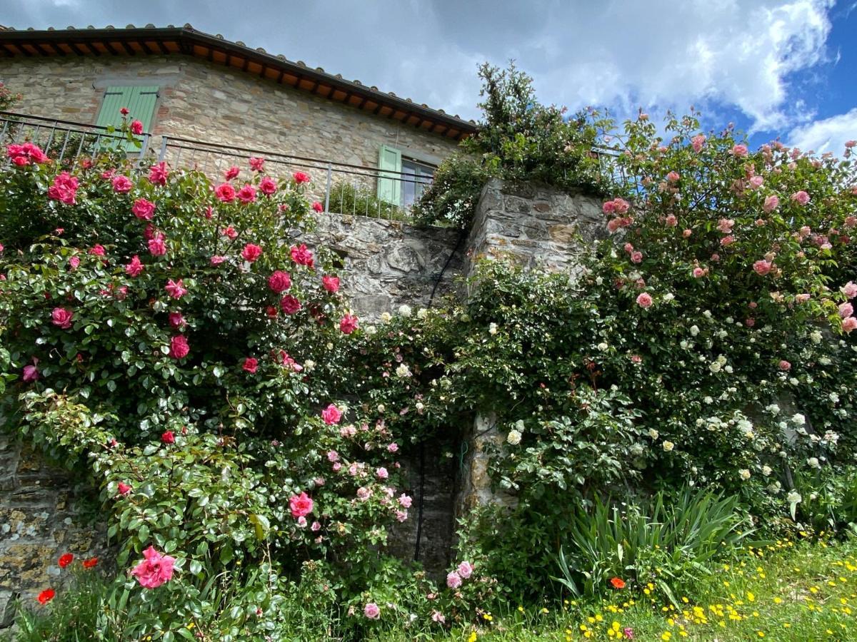 Florence Villa Violetta Баньо-а-Риполи Экстерьер фото