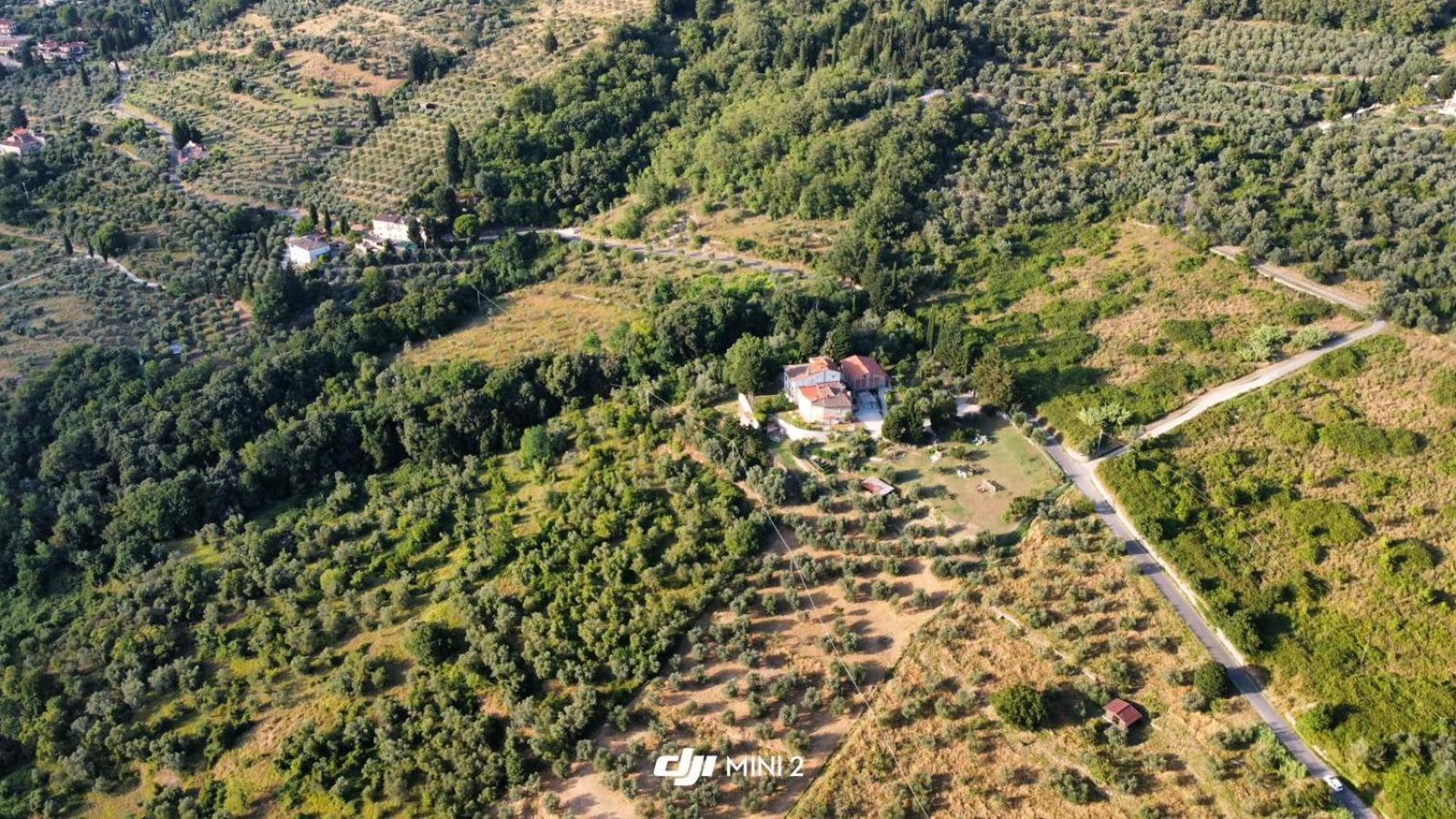 Florence Villa Violetta Баньо-а-Риполи Экстерьер фото
