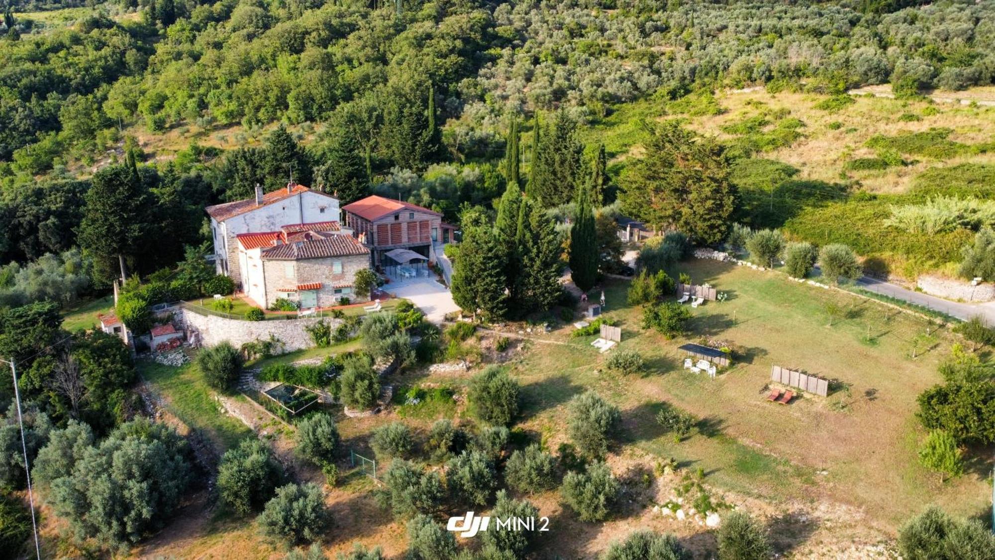 Florence Villa Violetta Баньо-а-Риполи Экстерьер фото